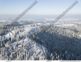 background winter nature forest 0009